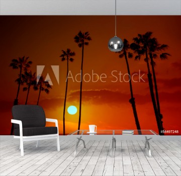 Picture of California high palm trees sunset sky silohuette
